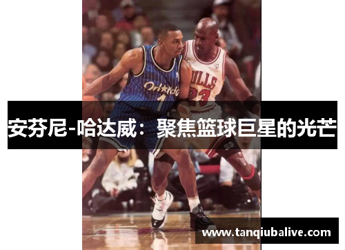 安芬尼-哈达威：聚焦篮球巨星的光芒